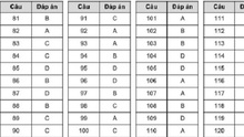 Gợi ý đáp án đề tham khảo thi tốt nghiệp THPT năm 2020