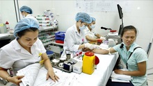Cảnh báo nguy cơ phát sinh các ổ bệnh sốt xuất huyết ở ngoại thành Hà Nội