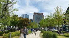 Phản ứng của chính giới Hàn Quốc về kế hoạch di dời thủ đô hành chính