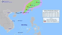 Các tỉnh, thành phố từ Quảng Bình đến Cà Mau chủ động ứng phó bão có khả năng đi vào biển Đông