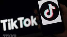 Xóa 2,4 triệu video TikTok của người dùng Việt Nam có nội dung vi phạm quy định