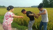 Bắt 4 đối tượng thu tiền 'bảo kê' máy gặt, đánh dân dã man trên đồng ở Thanh Hóa