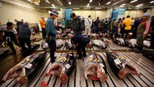 Nhật Bản phá bỏ chợ cá nổi tiếng Tsukiji để xây trung tâm hội nghị