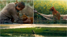 Phim 'Cậu Vàng' hé lộ những hình ảnh đầu tiên thật đẹp và yên bình