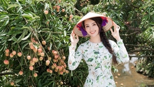 Á hậu Thụy Vân trở thành đại sứ thương hiệu vải Thanh Hà - Hải Dương