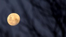 'Siêu trăng máu' - bữa tiệc thiên văn kỳ thú một lần trong một thập kỷ