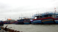 Bão số 5 suy yếu thành áp thấp nhiệt đới trên vùng biển Đà Nẵng đến Bình Định