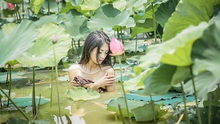 Dân mạng ‘ném đá’ dữ dội cô gái chụp ảnh khỏa thân dưới hồ sen