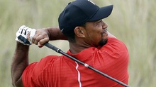 Tiger Woods bị bắt vì lái xe trong tình trạng say xỉn