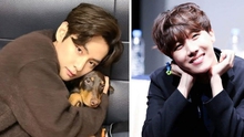 BTS: V tung ảnh tình cảm với cún cưng Bam, đến J-Hope cũng phải 'tan chảy'
