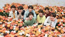 7 nam thần BTS có điểm tương đồng với loài hoa nào?