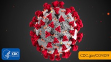 Biến thể của virus SARS-CoV-2 từ Anh xuất hiện tại 60 quốc gia, vùng lãnh thổ