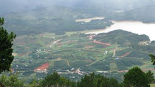 Đà Lạt đẹp huyền ảo nhìn từ đỉnh Langbiang