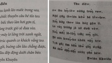 Không chỉ TS Bùi Hiền, nhiều bậc tiền bối cũng từng 'cải cách tiếng Việt'