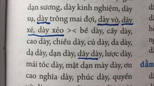 Vì sao 'Từ điển chính tả tiếng Việt' của PGS Hà Quang Năng bị đình chỉ phát hành?