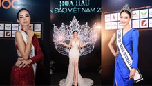 Dàn sao hội ngộ trên thảm đỏ Hoa hậu Biển đảo Việt Nam 2022