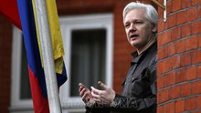 Vụ bắt nhà sáng lập WikiLeaks: Các chuyên gia LHQ chỉ trích mức án 'bất hợp lý'
