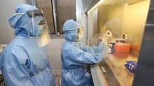 Chính phủ Mỹ tiết lộ chi tiết nghiên cứu tia cực tím tiêu diệt virus SARS-CoV-2