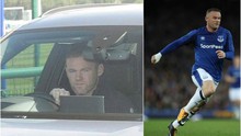 Wayne Rooney bị cảnh sát bắt vì lái xe trong lúc say xỉn