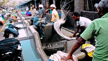 Xưởng giặt thủ công lớn nhất thế giới ẩn mình trong khu ổ chuột giữa lòng thành phố hiện đại ở Ấn Độ