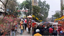 Ngày 26 Tết: Dạo chợ hoa Hàng Lược để thấy Tết đã về gần
