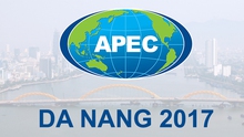 Đồ họa: Những hoạt động chính trong Tuần lễ Cấp cao APEC 2017
