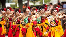 Ngày 21/4: Nghệ sĩ Nhật Bản sẽ biểu diễn điệu múa Yosakoi tại phố đi bộ Hà Nội