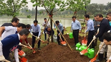Trồng thêm 1.000 cây hoa anh đào tại Công viên Hòa Bình, Hà Nội