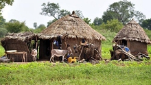 Thợ săn thuộc tộc người Dogon tại Mali sát hại 115 người Fulani