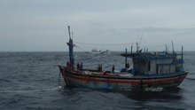 Khắc phục hậu quả bão số 9: Đã cứu được 3 ngư dân Bình Định trôi dạt trên biển
