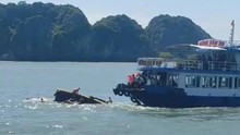 Vụ va chạm tàu trên vịnh Lan Hạ (Hải Phòng): Bảo đảm điều kiện chữa trị tốt nhất đối với những nạn nhân
