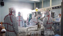 Phát hiện ca nhiễm cúm H7N4 đầu tiên trên thế giới