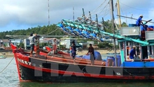 Ứng phó cơn bão số 8: Bình Thuận cấm tàu thuyền ra biển hoạt động