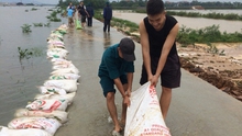 Hà Nội chủ động xử lý các điểm đê xung yếu trước mùa mưa bão 2019
