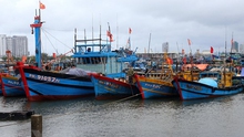 Ứng phó với bão số 1: Quảng Ngãi kêu gọi tàu, thuyền khẩn trương di chuyển ra khỏi vùng nguy hiểm