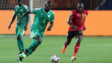 Soi kèo nhà cái Senegal vs Zimbabwe. Nhận định, dự đoán bóng đá châu Phi (20h00, 10/1)