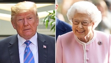 Tổng thống Mỹ Donald Trump sẽ hội kiến với Nữ hoàng Anh?