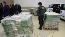 Tây Ban Nha thu giữ 9 tấn ma túy giấu trong container chuối