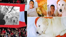 Alexis Sanchez dùng chó để chọn bồ, Arsenal nhờ chó giữ Sanchez