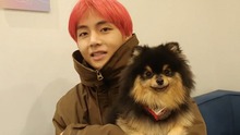 Fan phát hiện V BTS có khả năng đặc biệt giống chú cún Yeontan của anh