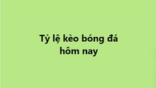 Tỷ lệ kèo, soi kèo nhà cái, nhận định bóng đá hôm nay ngày 10/11, 11/11