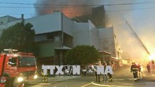 Sớm bố trí việc làm cho hơn 160 lao động Việt Nam bị mất việc làm do cháy xưởng tại Đài Loan (Trung Quốc)