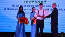 VIDEO: Việt Nam sản xuất thành công vacxin lở mồm long móng