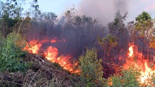 Nghệ An: Khởi tố hình sự và xử lý hành chính 8 vụ cháy rừng