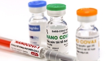 Tiếp tục thực hiện đánh giá hiệu lực bảo vệ của vaccine Nanocovax