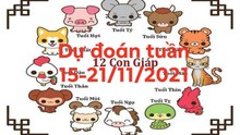 Dự đoán 12 con giáp tuần (15 - 21/11/2021): Tý, Hợi, Dần, Tỵ tài lộc vượng phát