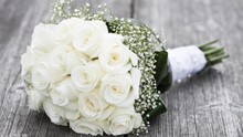Lời thì thầm của 8 sắc hoa hồng giúp bạn tặng hoa đúng dịp!