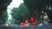 Hà Nội tuyệt đẹp trong 'cơn mưa vàng', sấu rụng đầy đường phố cổ