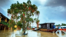 Bão số 6 - siêu bão Mangkhut giật trên cấp 17, báo động sông Hồng xuất hiện lũ lớn từ 2-5m