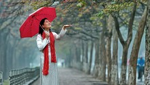 Hà Nội và miền Bắc có mưa, không khí lạnh ảnh hưởng đến miền Trung
